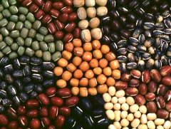 様々な色の小豆写真