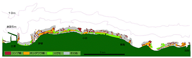石狩地区藻場分布図B