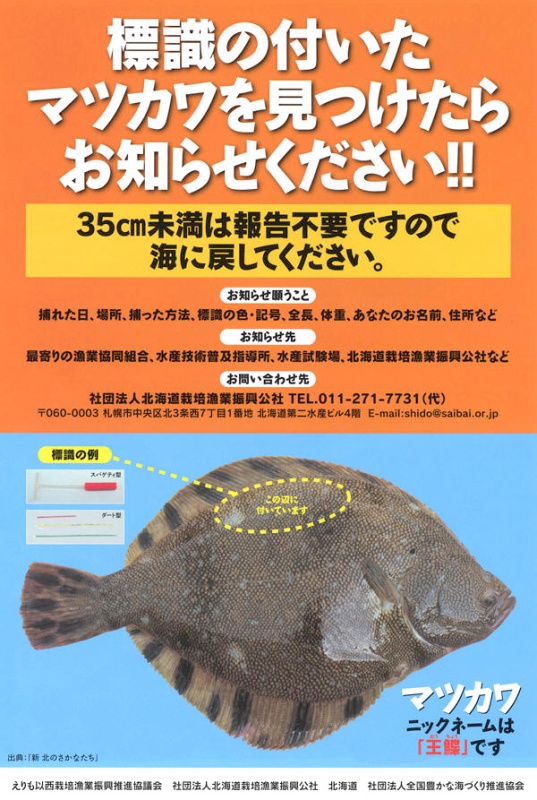 標識魚の採捕報告のお願いのポスター