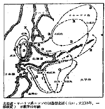 北海道・サハリンの回遊想定図
