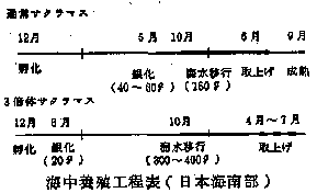 海中養殖工程表（日本海南部）