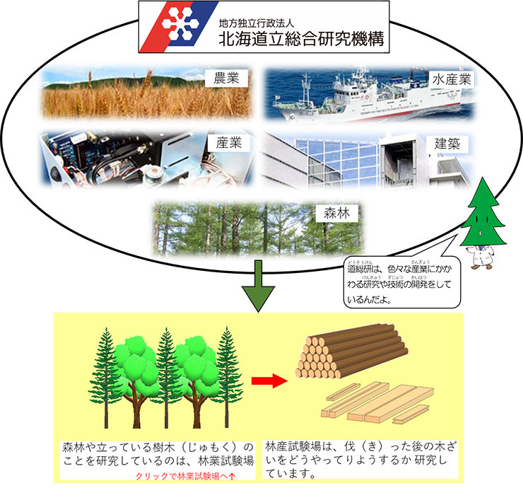 しんちゃん：道総研は色々な産業に関わる研究や技術の開発をしているんだよ