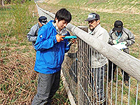 木材がくさっているかどうかを調べている写真