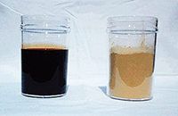 ササのオリゴ糖が含まれる液体の写真