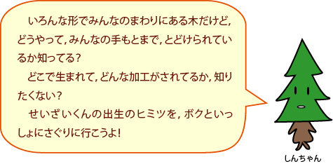 いろんな形でみんなのまわりにある木だけど，どうやって，みんなの手もとまで，とどけられているか知ってる？どこで生まれて，どんな加工がされてるか，知りたくない？せいざいくんの出生のヒミツを，ボクといっしょにさぐりに行こうよ！