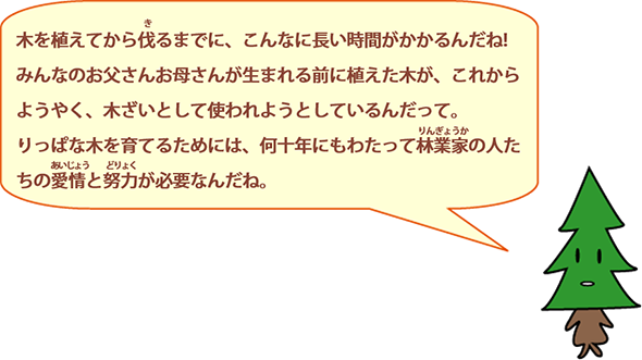 木を植えてから伐るまでに、こんなに長い時間がかかるんだね!みんなのお父さんお母さんが生まれる前に植えた木が、これからようやく、木材として使われようとしているんだって。りっぱな木を育てるためには、何十年にもわたって林業家の人たちの愛情と努力が必要なんだね。