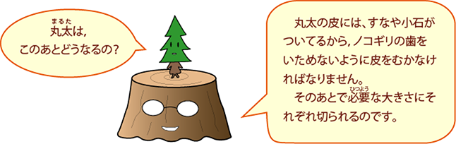 しんちゃん：丸太は、このあとどうなるの？切りかぶハカセ：丸太の皮には、すなや小石がついてるから、ノコギリの歯をいためないように皮をむかなければなりません。そのあとで必要な大きさにそれぞれ切られるのです。