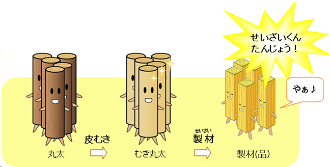 イメージ図：丸太の皮をむいて、角形に切って製材（製品）になります