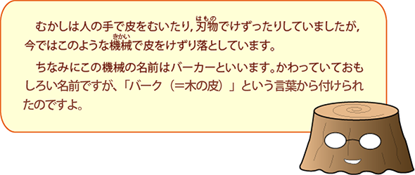 むかしは人の手で皮をむいたり，刃物でけずったりしていましたが，今ではこのような機械で皮をけずり落としています。ちなみにこの機械の名前はバーカーといいます。かわっていておもしろい名前ですが，「バーク（＝木の皮）」という言葉から付けられたのですよ。