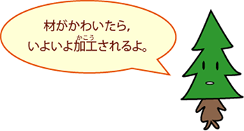 材がかわいたら，いよいよ加工されるよ。