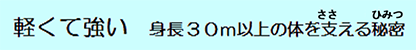 軽くて強い。身長30ｍ以上の体をささえるひみつ