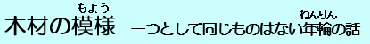 木材の模様　一つとして同じものはない年輪の話