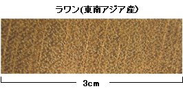 ラワン（東南アジア産）の年輪写真