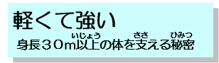 軽くて強い、身長30m以上の体を支える秘密へ