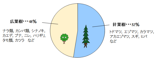 広葉樹48%（ナラ類、カンバ類、シナノキ、カエデ、ブナ、ニレ、ハリギリ、タモ類、カツラなど）　針葉樹52%（トドマツ、エゾマツ、カラマツ、アカエゾマツ、スギ、ヒバなど）