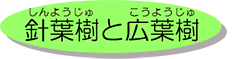 しんようじゅとこうようじゅ