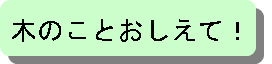 木のことおしえて