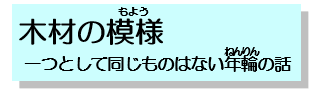 木材の模様、一つとして同じものはない年輪の話へ