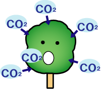 樹木が二酸化炭素を吸い込むイメージイラスト