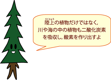 しんパパ：陸上の植物だけではなく、川や海の中の植物も二酸化炭素を吸収し、酸素を作り出すよ