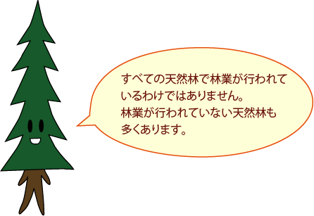 しんパパ：すべての天然林で林業が行われているわけではありません。林業が行われていない天然林も多くあります。