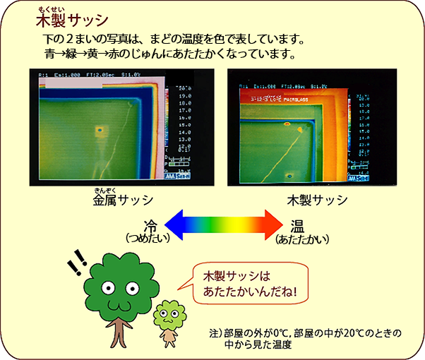 木製サッシと金属サッシの温度をくらべた写真；ひろみママ：木製サッシはあたたかいんだね！