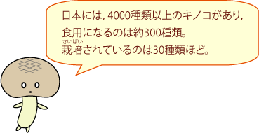 日本には、4000種類以上のキノコがあり、食用になるのは約300種類。栽培されているのは30種類ほど。