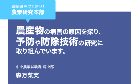 道総研をフカボリ！農業研究本部