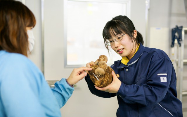 齋藤さんこんなシゴトこんな研究3