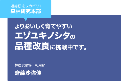 道総研をフカボリ！森林研究本部