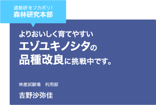 道総研をフカボリ！森林研究本部