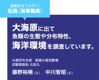 道総研をフカボリ！船員(海事職員)