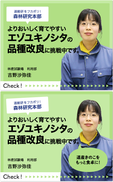 森林研究本部