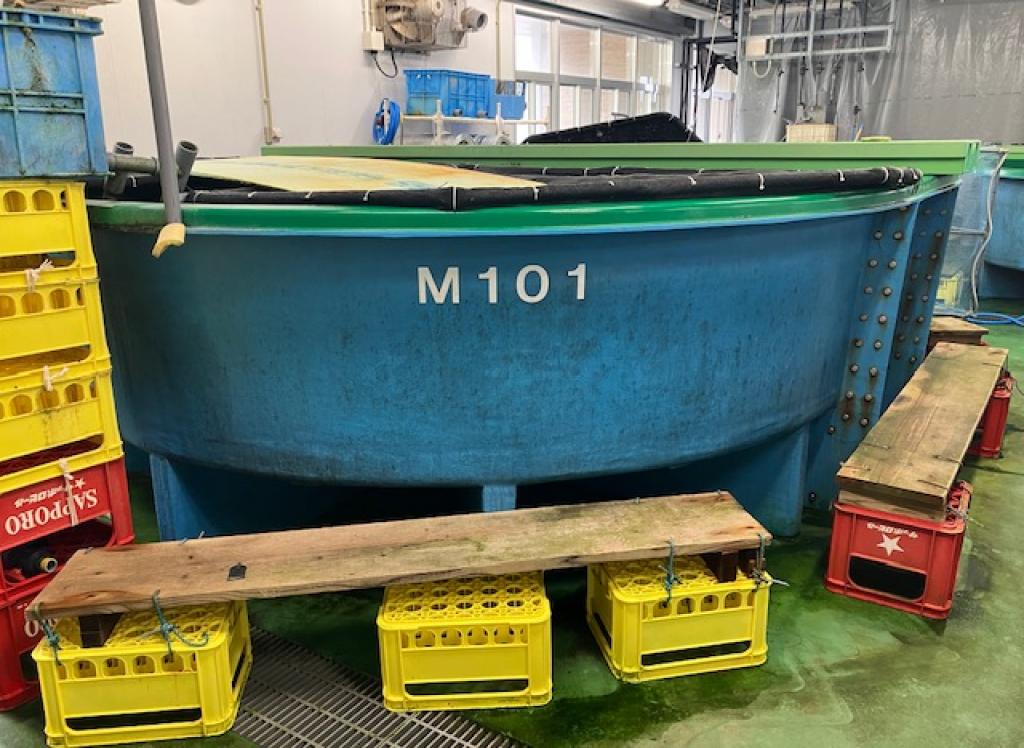 E0116 量産棟10トン水槽（加温水）