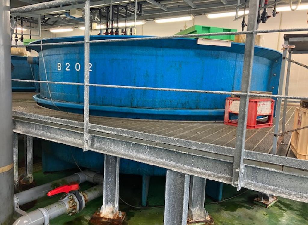 E0119 親魚棟20トン水槽（1次濾過水+冷却水）