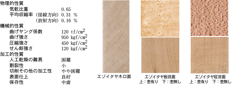 各種性質，三断面