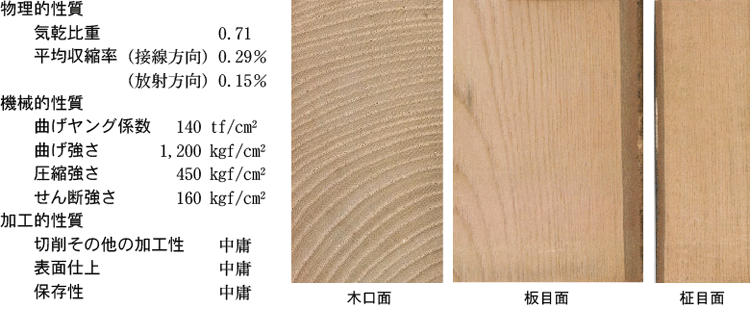 各種性質、三断面