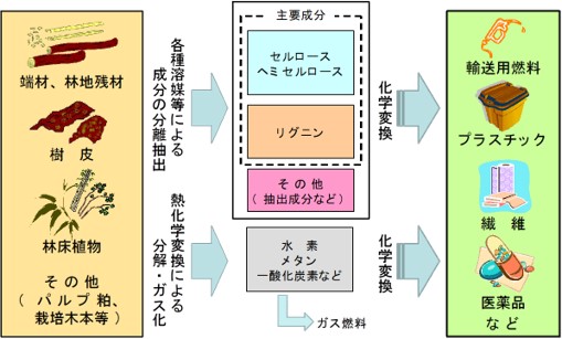 バイオリファイナリーの概要図