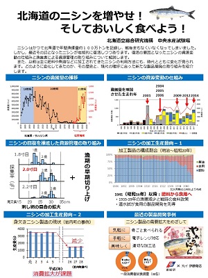 ニシンの講演資料