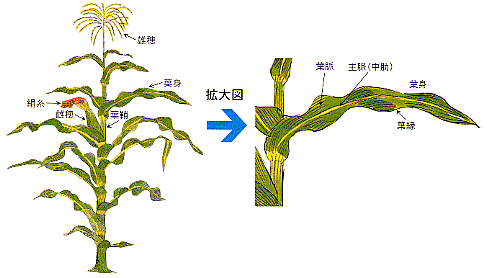 部位別名称