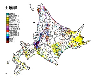 土壌タイプ