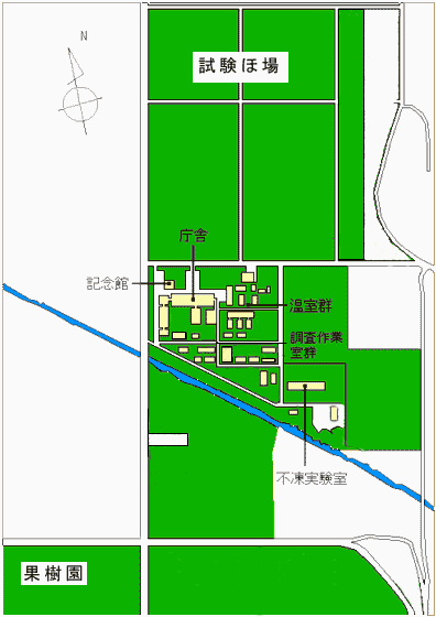 本場の施設配置図