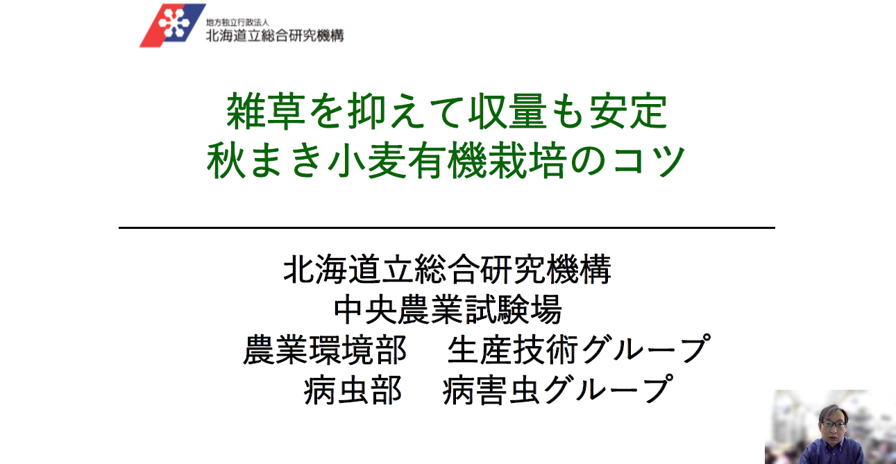 雑草を抑えて収量も安定　秋まき小麦有機栽培のコツ