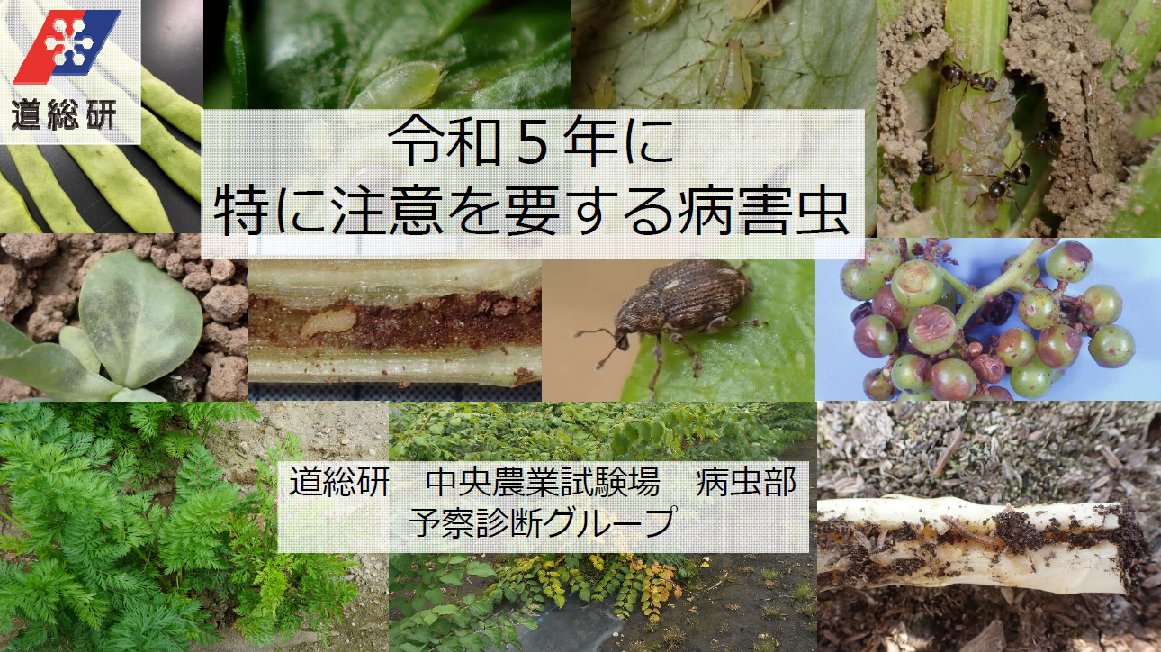 令和５年に特に注意を要する病害虫