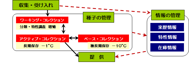 保存管理の流れを図で説明