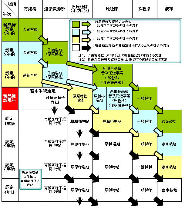 種子増殖体系