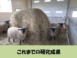 これまでの研究成果