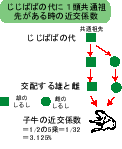 近郊係数の説明２