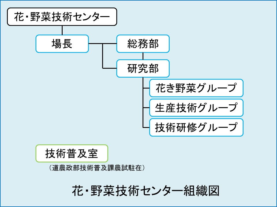 組織図