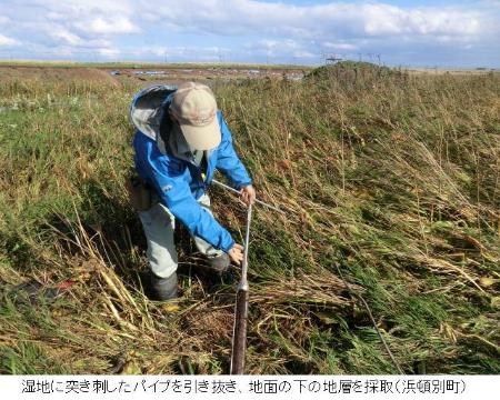 写真：地層調査の様子（浜頓別町）